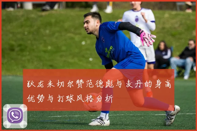 狄龙米切尔赞范德彪与麦丹的身高优势与打球风格分析
