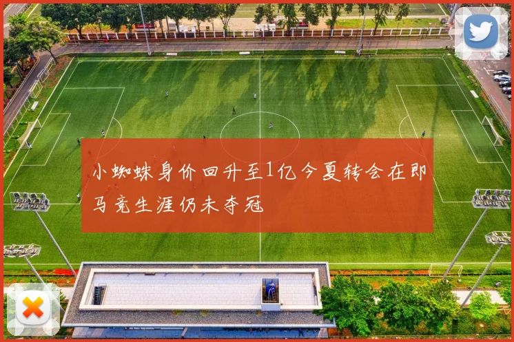小蜘蛛身价回升至1亿今夏转会在即马竞生涯仍未夺冠