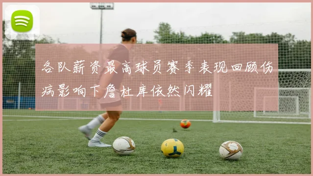 各队薪资最高球员赛季表现回顾伤病影响下詹杜库依然闪耀