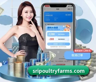 aoa官方网址入口 APP
